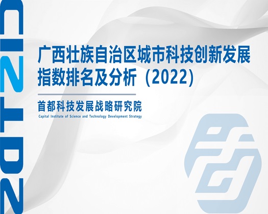 操屄日逼【成果发布】广西壮族自治区城市科技创新发展指数排名及分析（2022）